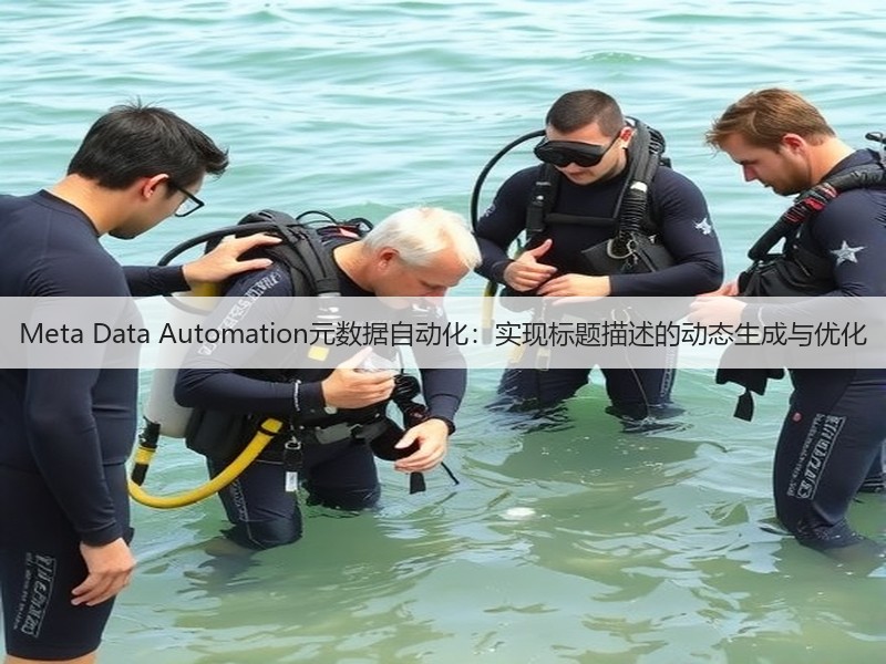 Meta Data Automation元数据自动化:实现标题描述的动态生成与优化(图3) Meta Data Automation元数据自动化:实现标题描述的动态生成与优化(图3)