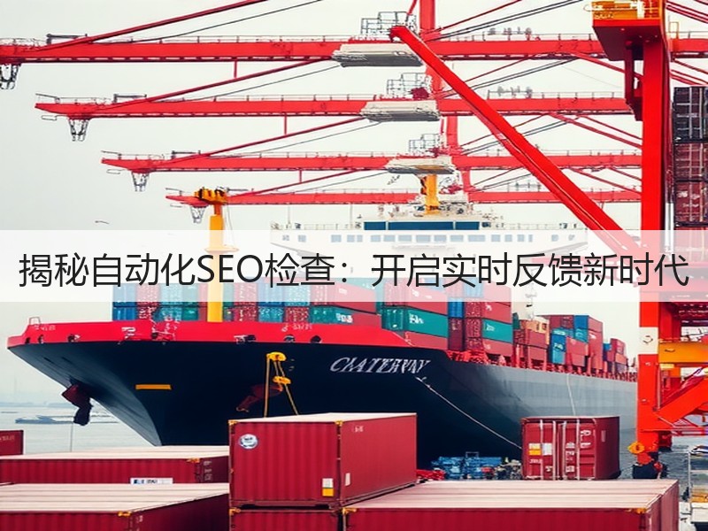 揭秘自动化SEO检查：开启实时反馈新时代(图2)