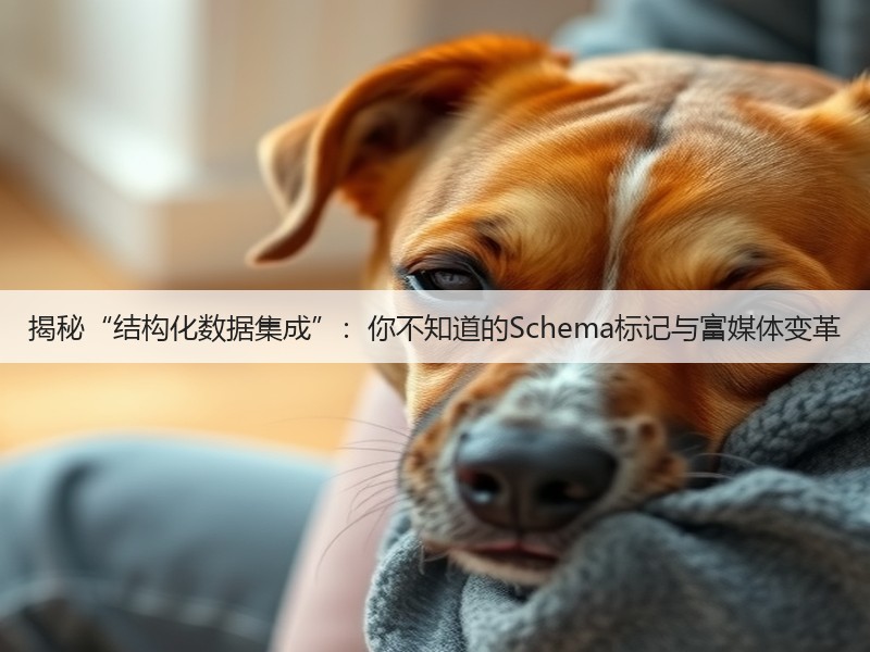 揭秘“结构化数据集成”：你不知道的Schema标记与富媒体变革(图3)