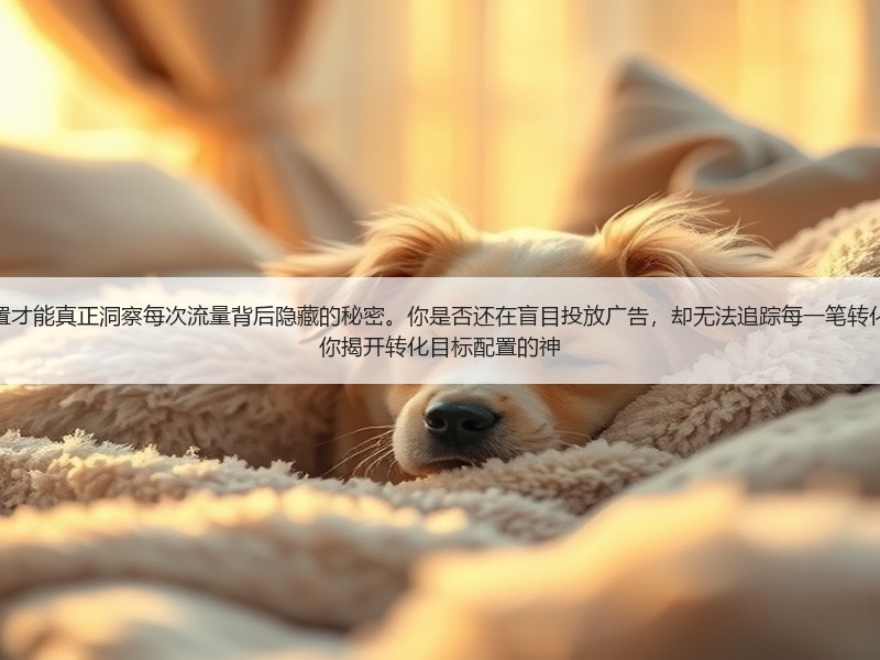 聪明人都知道，打好转化跟踪设置才能真正洞察每次流量背后隐藏的秘密。你是否还在盲目投放广告，却无法