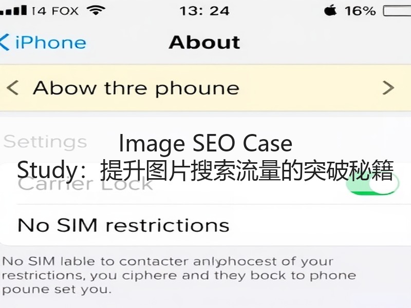 Image SEO Case Study：提升图片搜索流量的突破秘籍