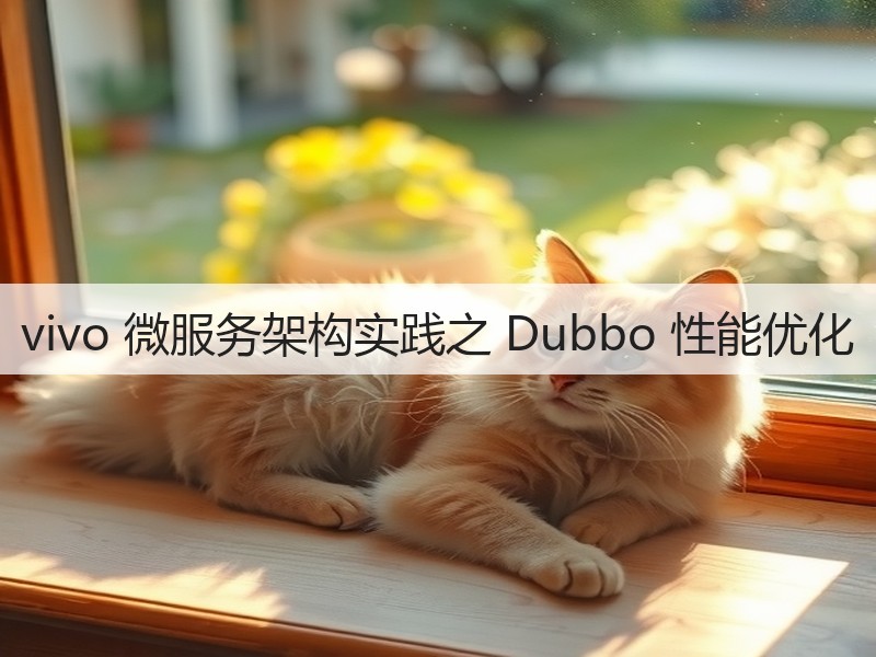 vivo 微服务架构实践之 Dubbo 性能优化(图3)