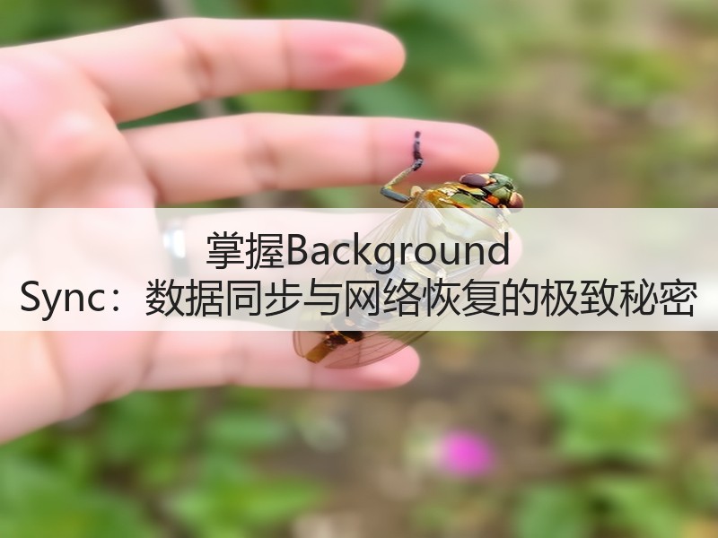 掌握Background Sync：数据同步与网络恢复的极致秘密(图3)