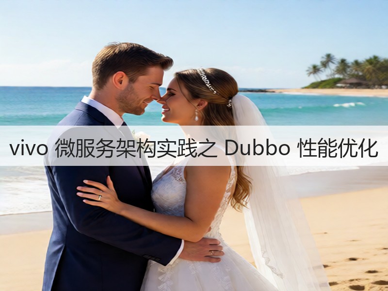 vivo 微服务架构实践之 Dubbo 性能优化(图3) vivo 微服务架构实践之 Dubbo 性能优化(图3)