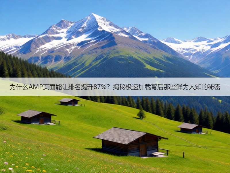 为什么AMP页面能让排名提升87%？揭秘极速加载背后那些鲜为人知的秘密(图3)