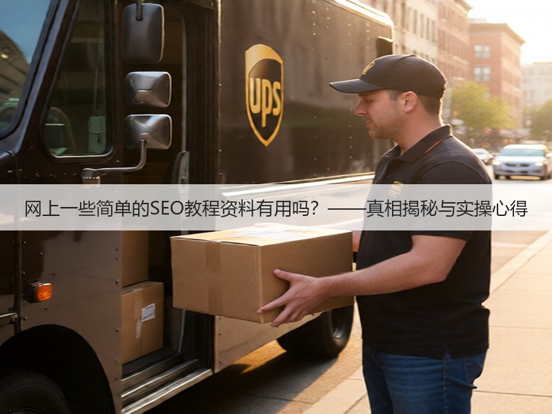 网上一些简单的SEO教程资料有用吗?——真相揭秘与实操心得(图2) 网上一些简单的SEO教程资料有用吗?——真相揭秘与实操心得(图2)
