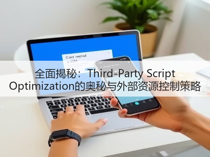 全面揭秘：Third-Party Script Optimization的奥秘与外部资源控制策略