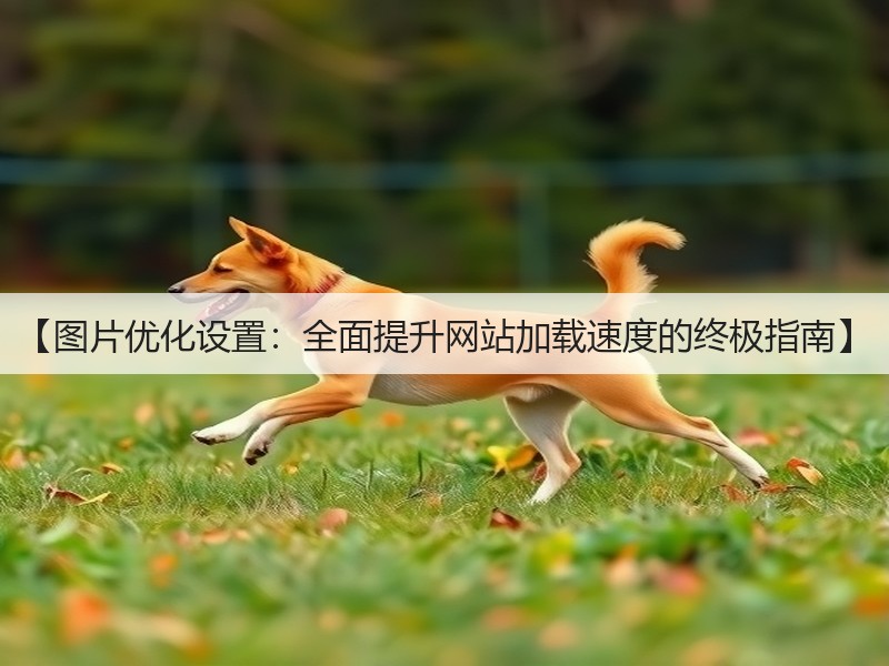 【图片优化设置:全面提升网站加载速度的终极指南】(图3) 【图片优化设置:全面提升网站加载速度的终极指南】(图3)