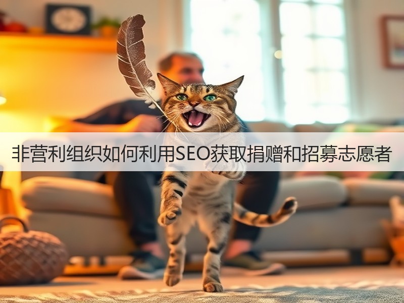 非营利组织如何利用SEO获取捐赠和招募志愿者(图3) 非营利组织如何利用SEO获取捐赠和招募志愿者(图3)