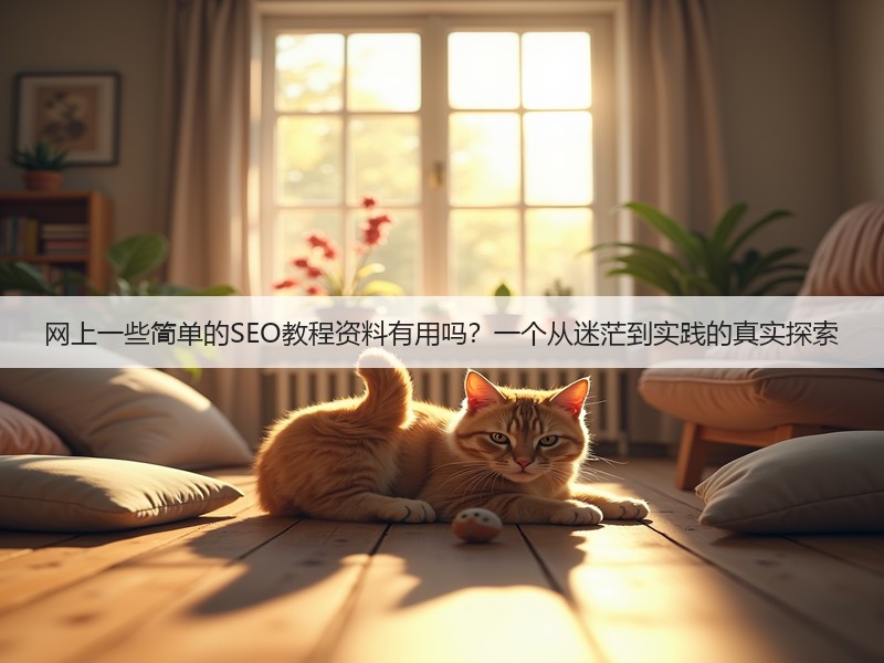 网上一些简单的SEO教程资料有用吗？一个从迷茫到实践的真实探索(图2)