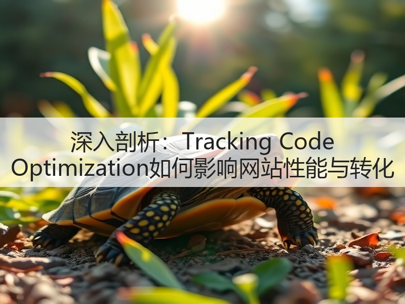 深入剖析：Tracking Code Optimization如何影响网站性能与转化(图1)