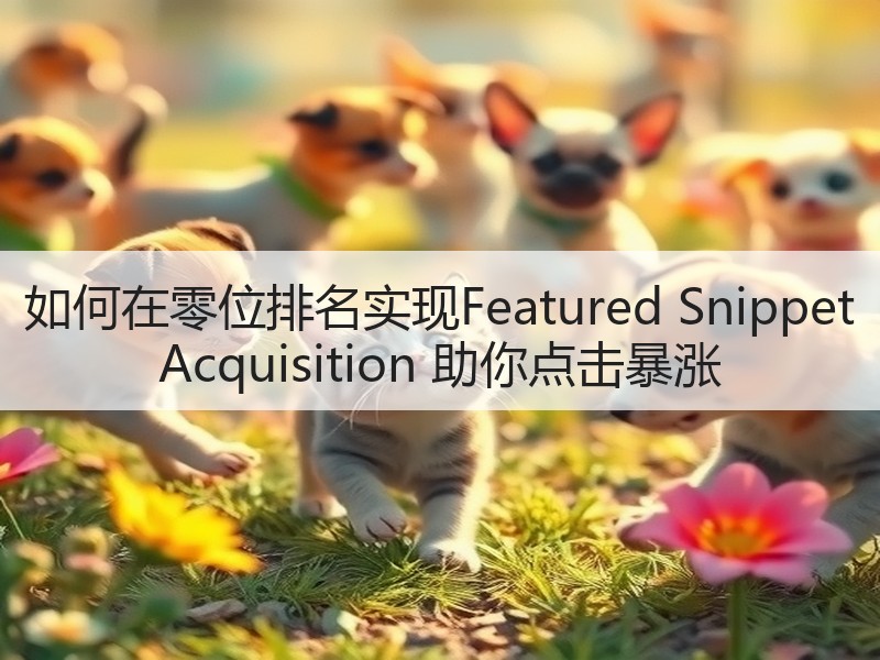 如何在零位排名实现Featured Snippet Acquisition 助你点击暴涨