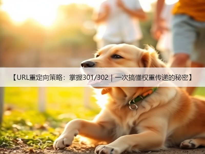 【URL重定向策略：掌握301/302｜一次搞懂权重传递的秘密】