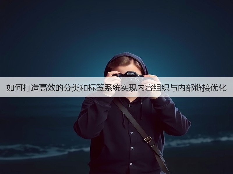 如何打造高效的分类和标签系统实现内容组织与内部链接优化(图2)