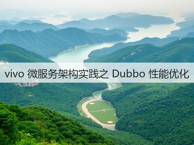 vivo 微服务架构实践之 Dubbo 性能优化(图2)