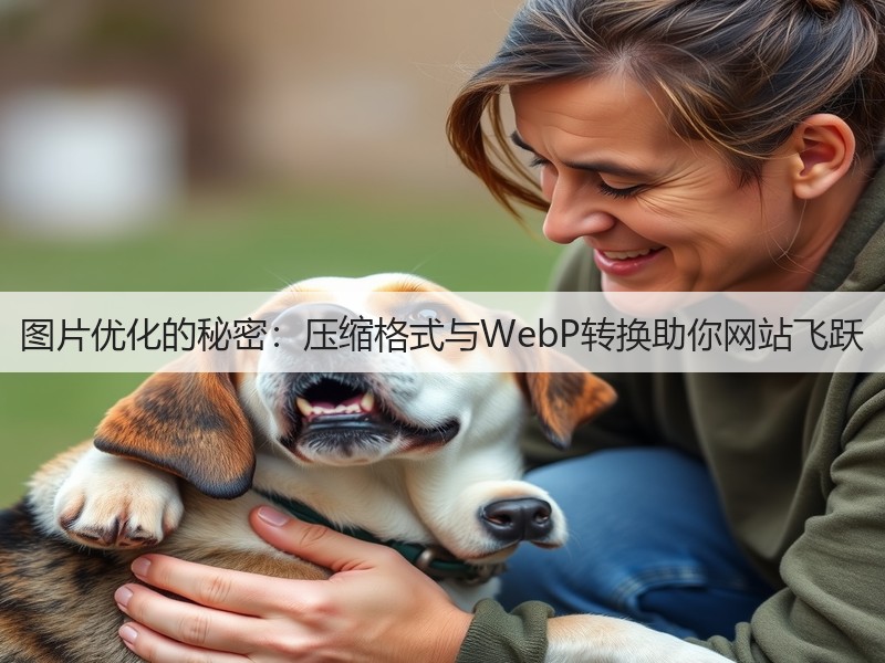 图片优化的秘密：压缩格式与WebP转换助你网站飞跃(图2)