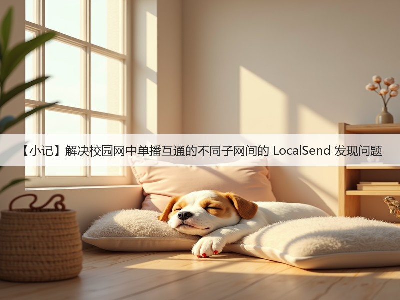 【小记】解决校园网中单播互通的不同子网间的 LocalSend 发现问题(图3) 【小记】解决校园网中单播互通的不同子网间的 LocalSend 发现问题(图3)