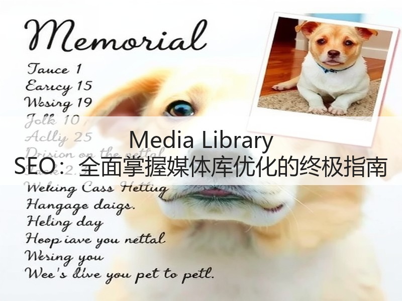 Media Library SEO:全面掌握媒体库优化的终极指南(图2) Media Library SEO:全面掌握媒体库优化的终极指南(图2)