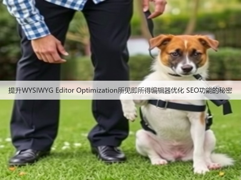 提升WYSIWYG Editor Optimization所见即所得编辑器优化 SEO功能的秘密(图2)
