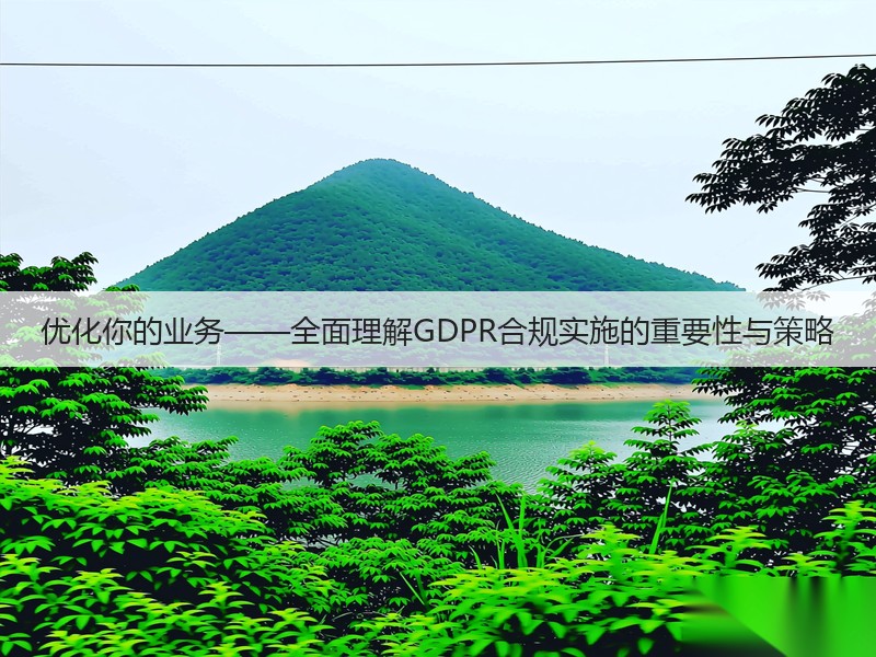 优化你的业务——全面理解GDPR合规实施的重要性与策略(图2)