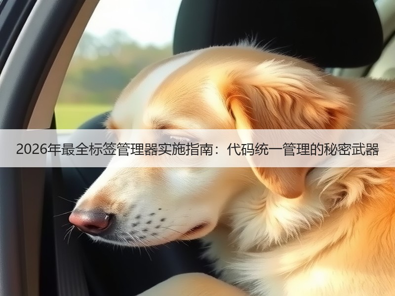 2026年最全标签管理器实施指南：代码统一管理的秘密武器