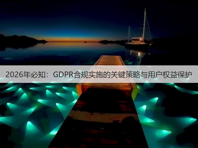 2026年必知：GDPR合规实施的关键策略与用户权益保护(图3)