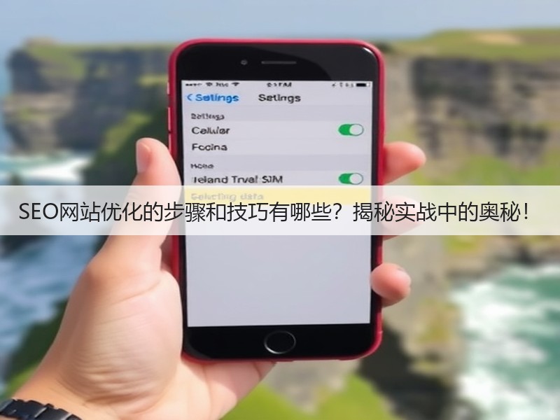 SEO网站优化的步骤和技巧有哪些?揭秘实战中的奥秘!(图2) SEO网站优化的步骤和技巧有哪些?揭秘实战中的奥秘!(图2)
