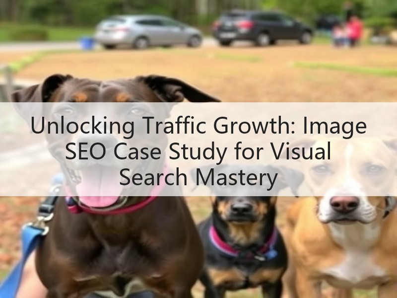 Unlocking Traffic Growth: Image SEO Case Study for Visual Search Mastery(图3) Unlocking Traffic Growth: Image SEO Case Study for Visual Search Mastery(图3)