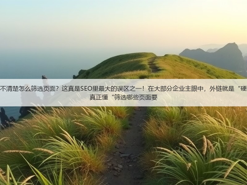 为什么老板想为网站做外链，却不清楚怎么筛选页面？这真是SEO里最大的误区之一！在大部分企业主眼中，外链就是“硬塞链接”，实际操作中却少有人真正懂“筛选哪些页面要(图2)