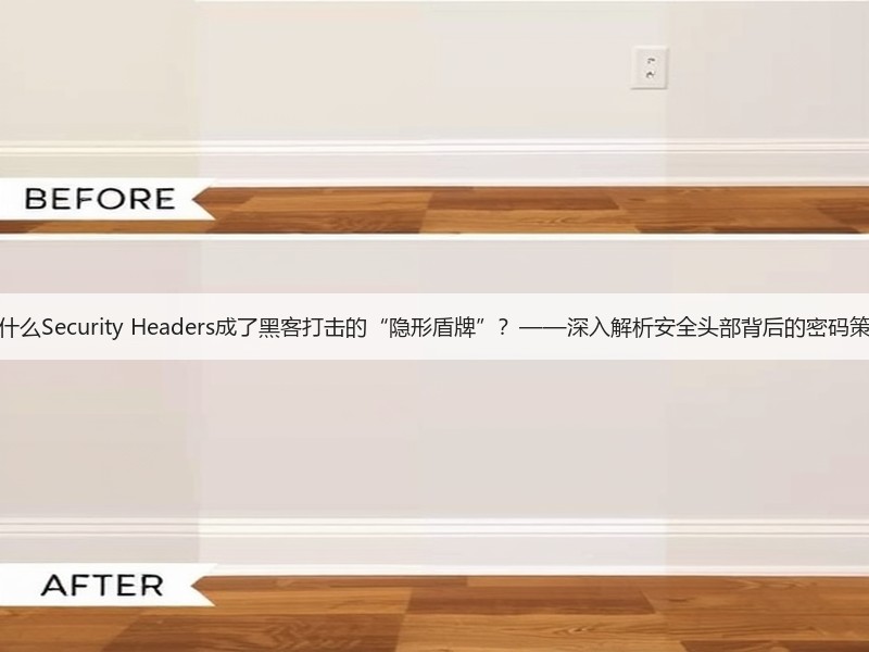 为什么Security Headers成了黑客打击的“隐形盾牌”？——深入解析安全头部背后的密码策略(图2)