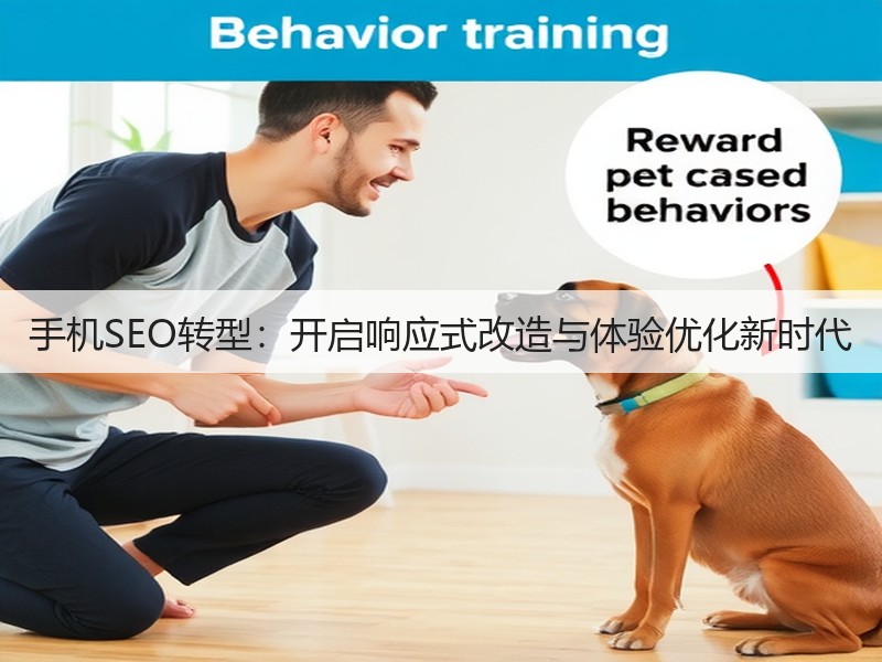 手机SEO转型：开启响应式改造与体验优化新时代(图3)