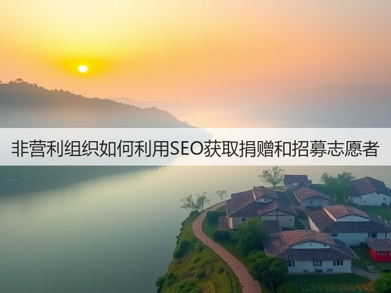 非营利组织如何利用SEO获取捐赠和招募志愿者(图2) 非营利组织如何利用SEO获取捐赠和招募志愿者(图2)