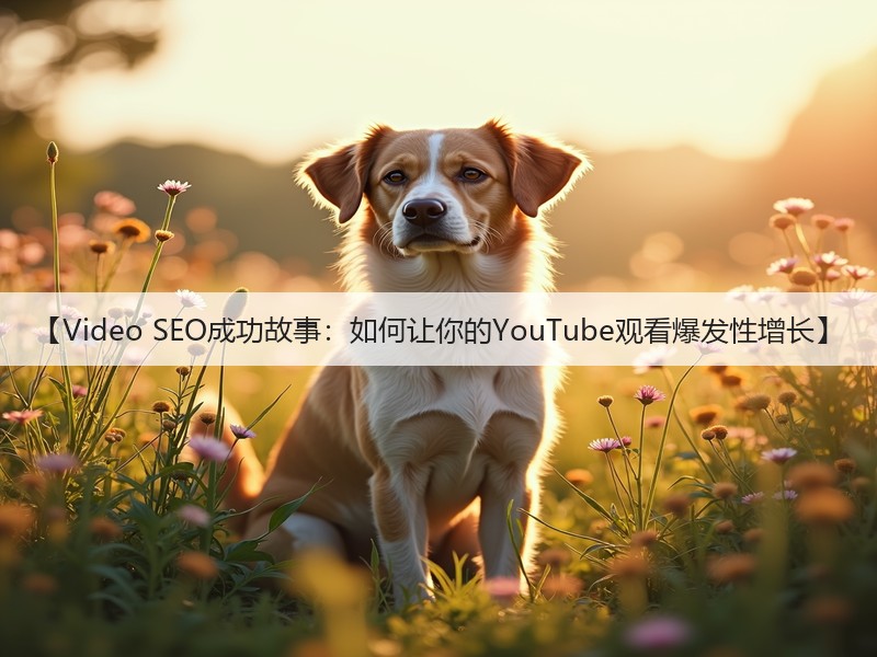 【Video SEO成功故事:如何让你的YouTube观看爆发性增长】(图3) 【Video SEO成功故事:如何让你的YouTube观看爆发性增长】(图3)