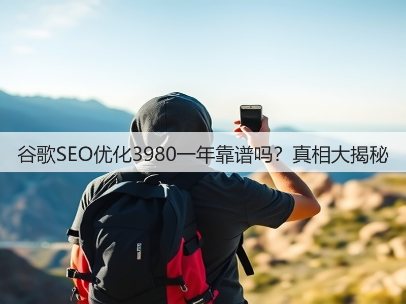 谷歌SEO优化3980一年靠谱吗？真相大揭秘(图2)