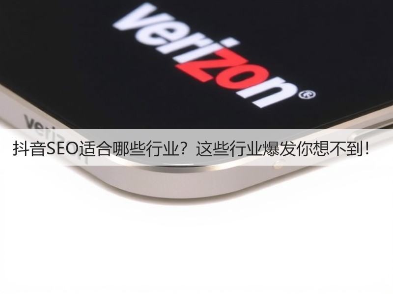 抖音SEO适合哪些行业？这些行业爆发你想不到！(图2)