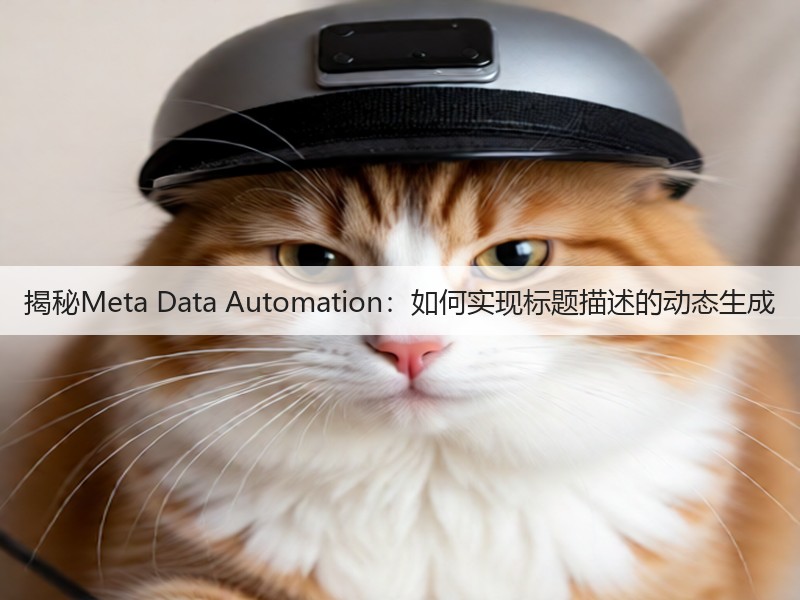 揭秘Meta Data Automation:如何实现标题描述的动态生成(图2) 揭秘Meta Data Automation:如何实现标题描述的动态生成(图2)