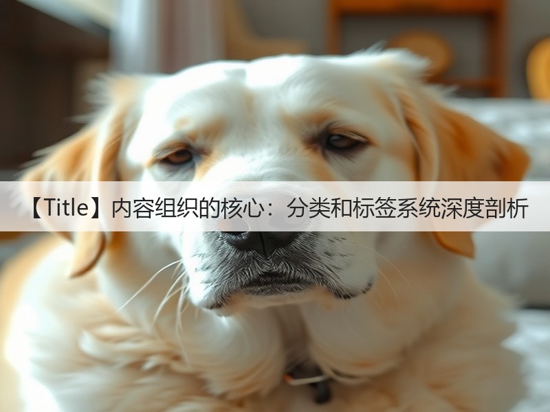 【Title】内容组织的核心：分类和标签系统深度剖析(图2)