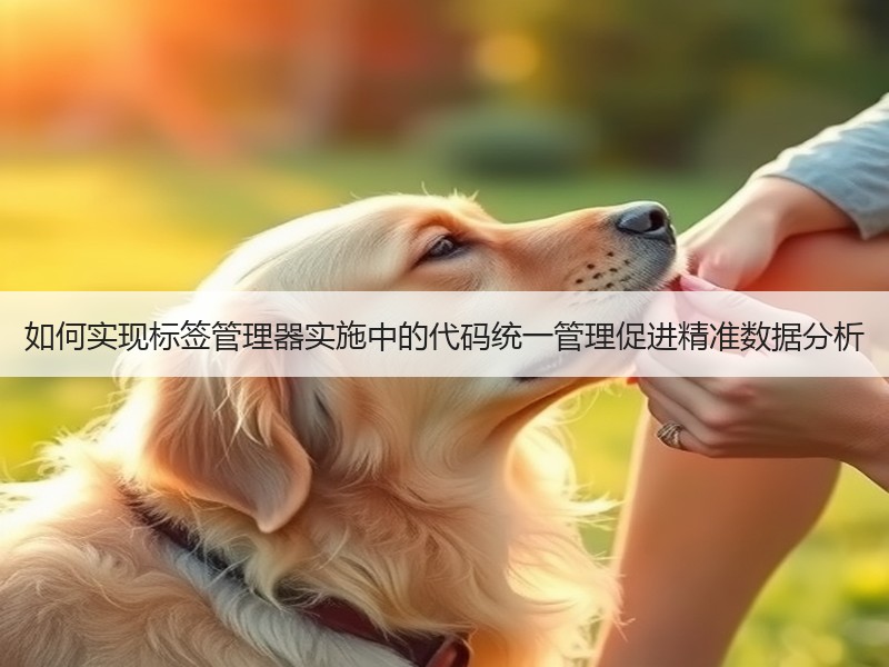 如何实现标签管理器实施中的代码统一管理促进精准数据分析