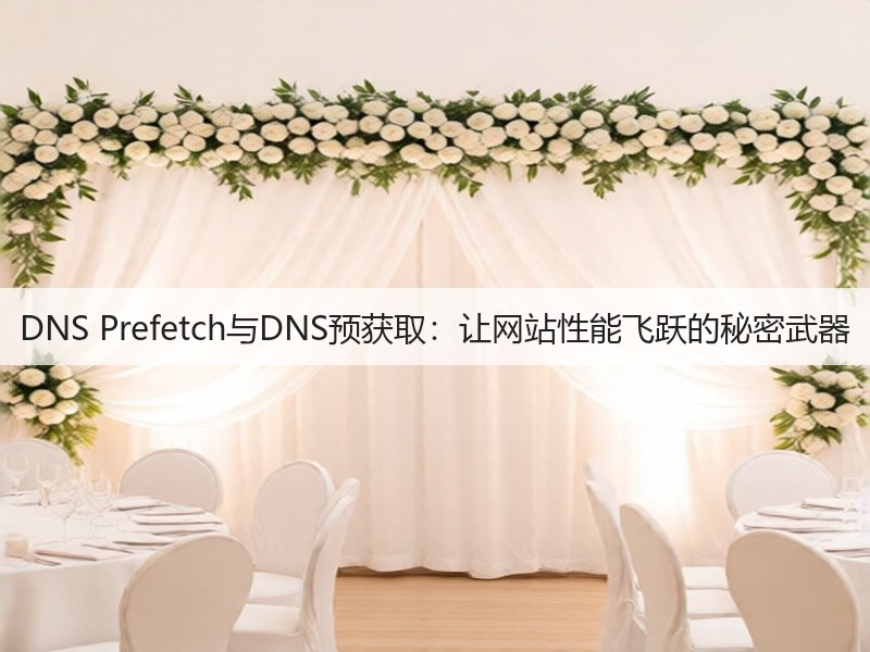 DNS Prefetch与DNS预获取：让网站性能飞跃的秘密武器(图3)