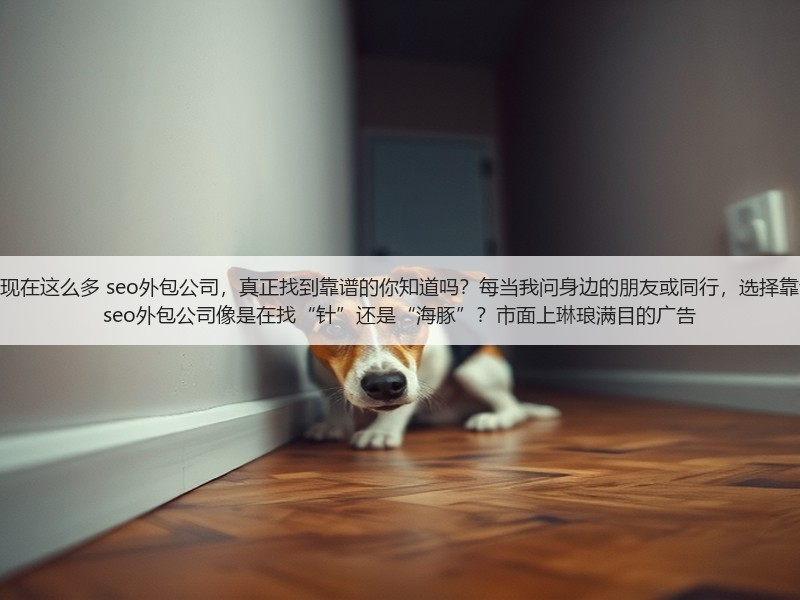 为什么现在这么多 seo外包公司，真正找到靠谱的你知道吗？每当我问身边的朋友或同行，选择靠谱吗的 seo外包公司像是在找“针”还是“海豚”？市面上琳琅满目的广告(图3)