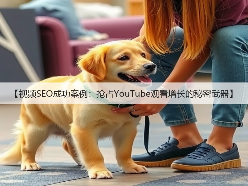 【视频SEO成功案例：抢占YouTube观看增长的秘密武器】(图3)