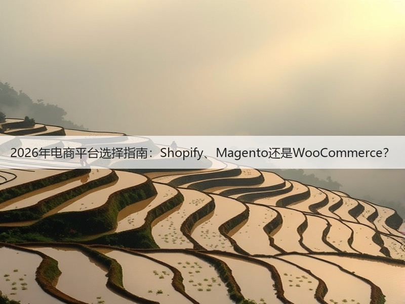 2026年电商平台选择指南:Shopify、Magento还是WooCommerce?(图3) 2026年电商平台选择指南:Shopify、Magento还是WooCommerce?(图3)
