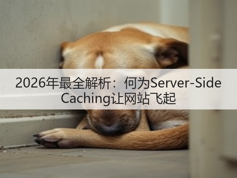 2026年最全解析：何为Server-Side Caching让网站飞起(图3)