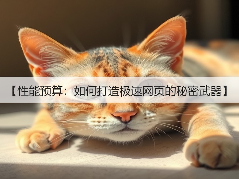 【性能预算：如何打造极速网页的秘密武器】