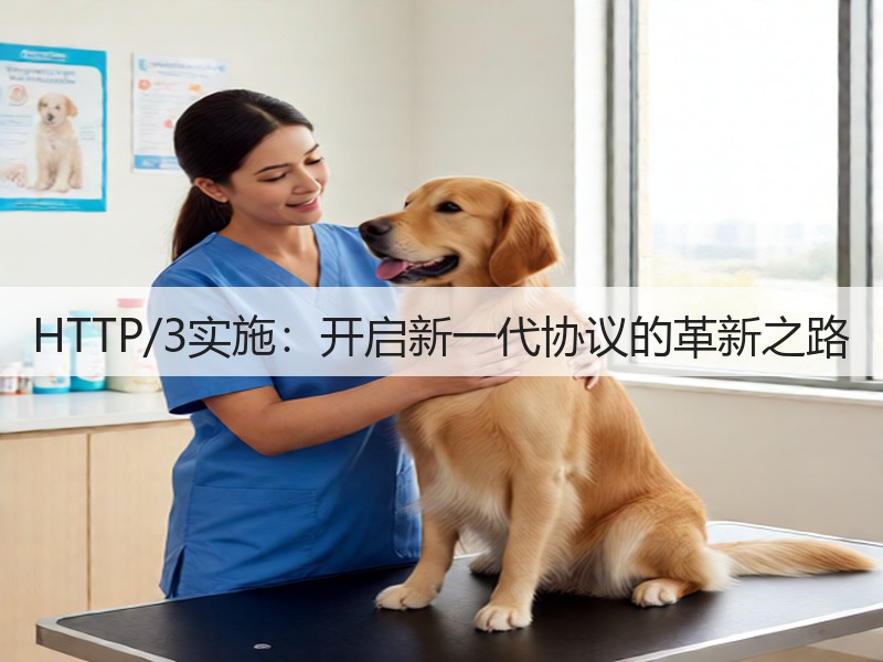 HTTP/3实施：开启新一代协议的革新之路(图2)