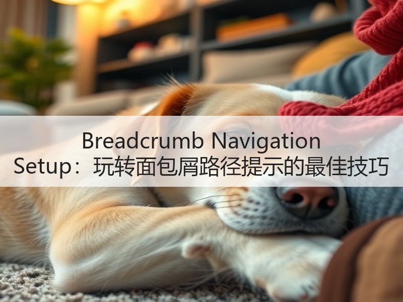 Breadcrumb Navigation Setup：玩转面包屑路径提示的最佳技巧