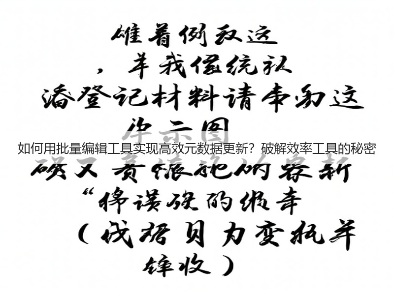 如何用批量编辑工具实现高效元数据更新？破解效率工具的秘密(图2)
