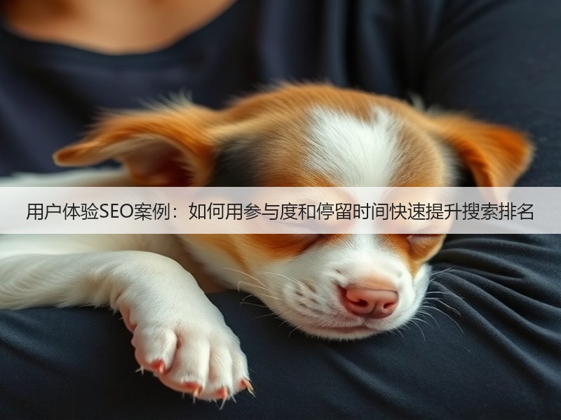 用户体验SEO案例：如何用参与度和停留时间快速提升搜索排名(图3)