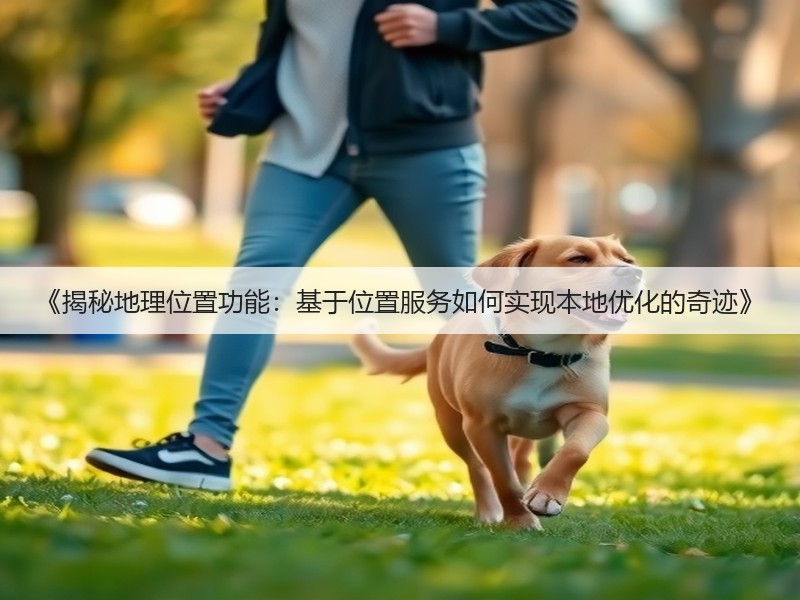《揭秘地理位置功能：基于位置服务如何实现本地优化的奇迹》(图2)