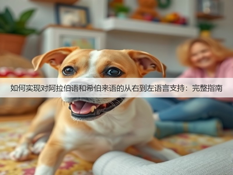 如何实现对阿拉伯语和希伯来语的从右到左语言支持：完整指南(图3)